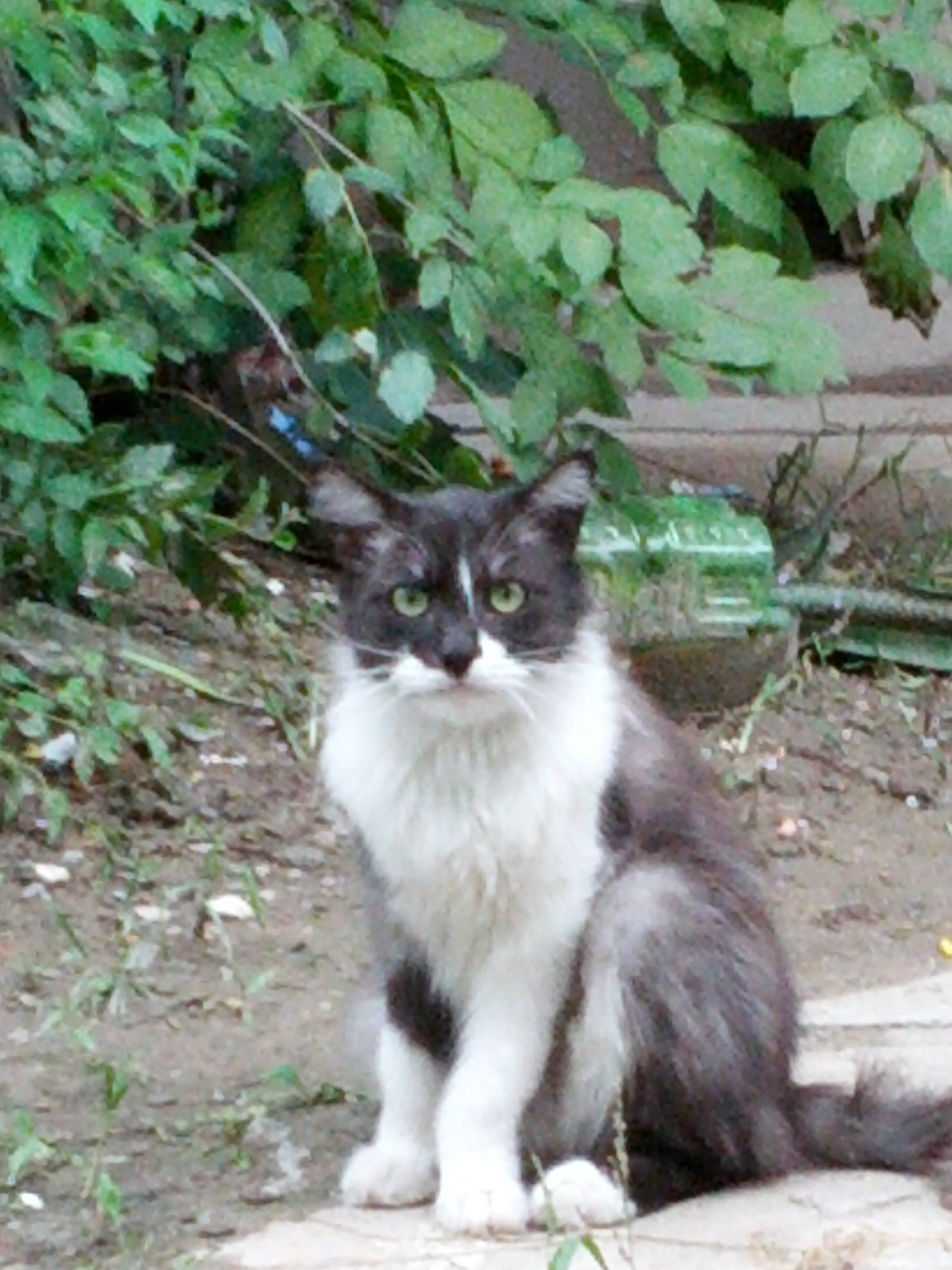 rositaxg