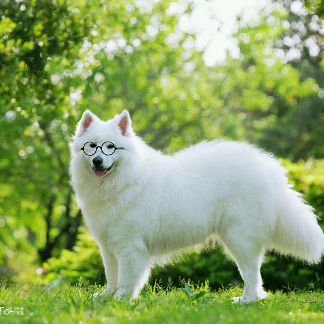 触碰味蕾-delicious