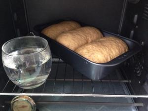 汤种全麦面包～柔软拉丝的做法 步骤14