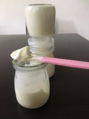 奶粉做酸奶（电炖锅版）的做法 步骤8