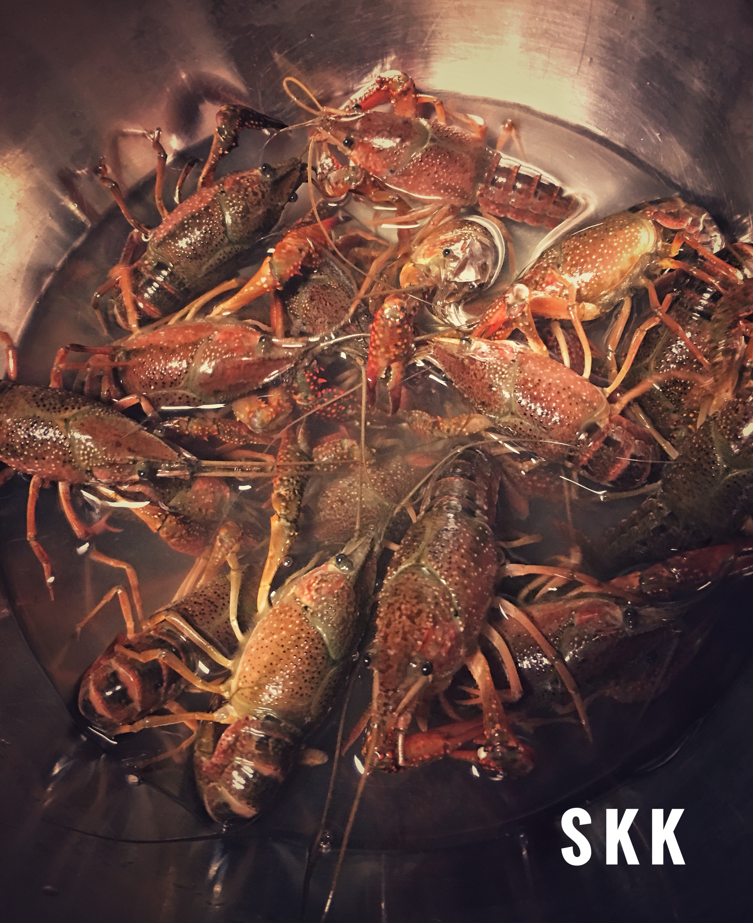 【咔咔·食谱】十三香小龙虾的做法 步骤1