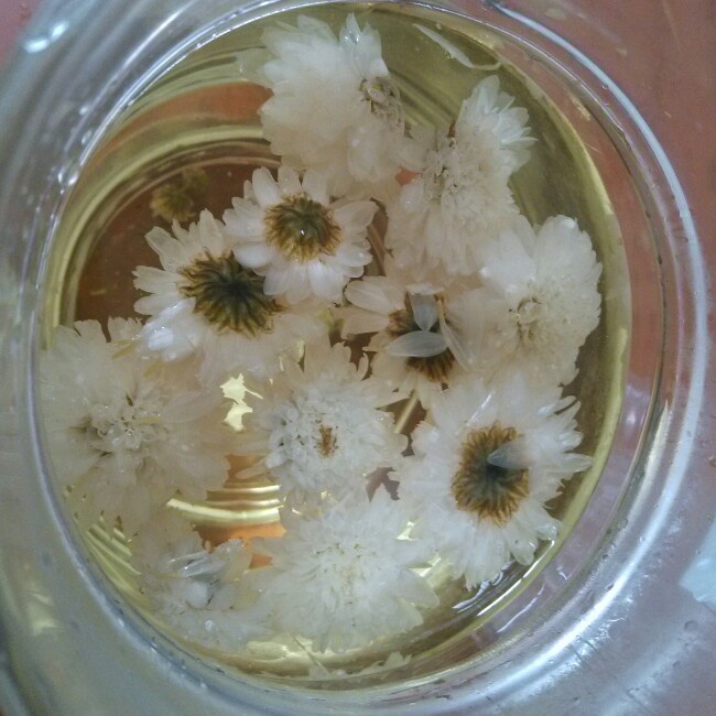 冰糖菊花茶