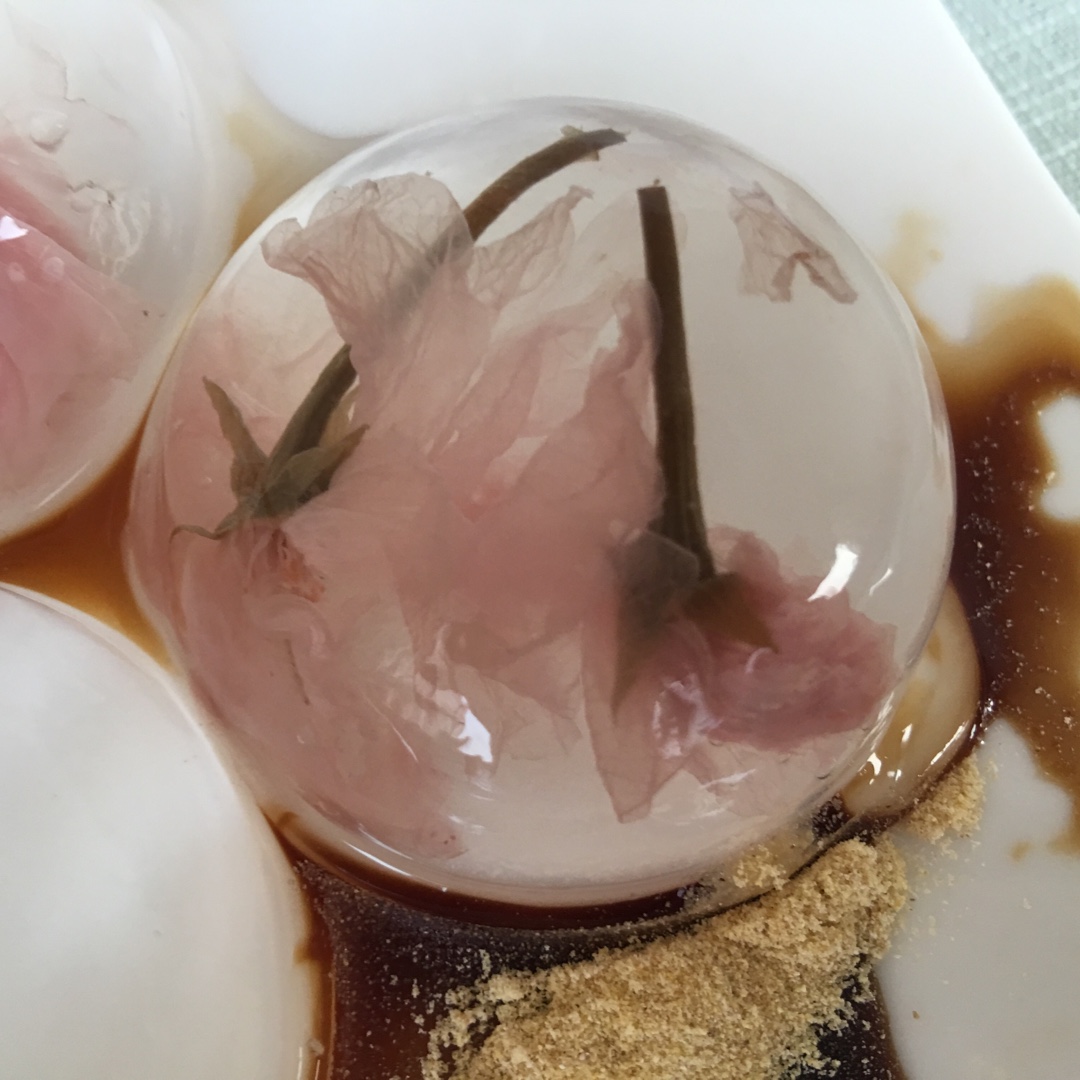 日本最温柔的梦幻和菓子 — 水信玄饼