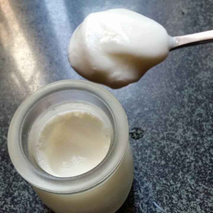 烤箱自制酸奶