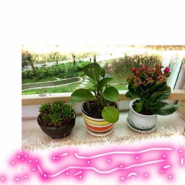 臭臭林2010