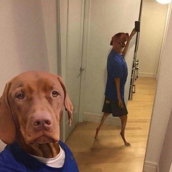 信生活