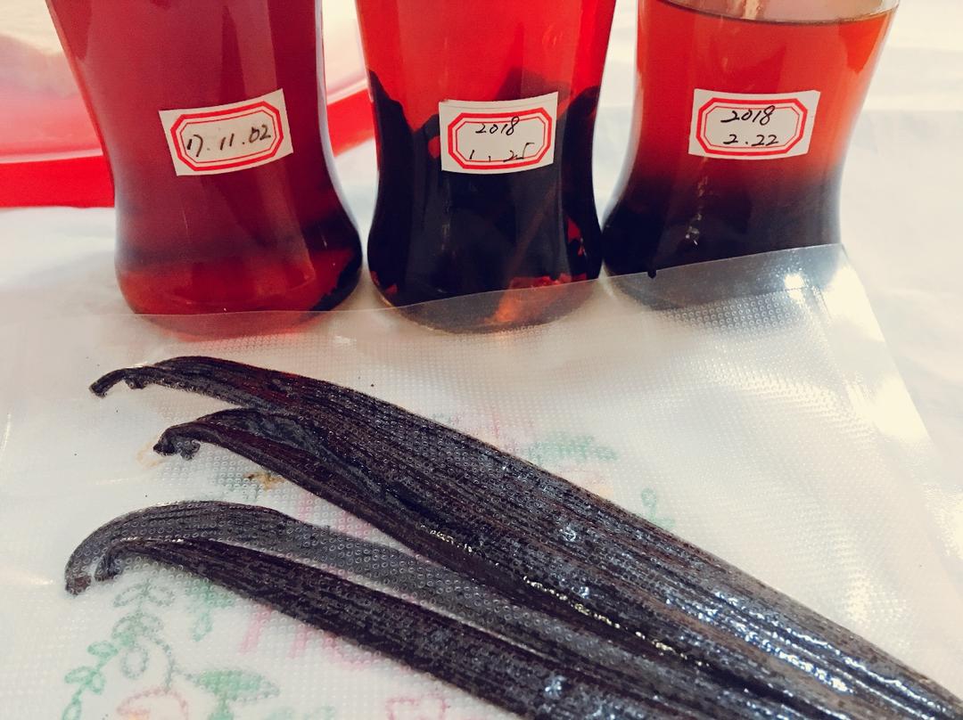 关于香草豆荚，看这一篇就够了