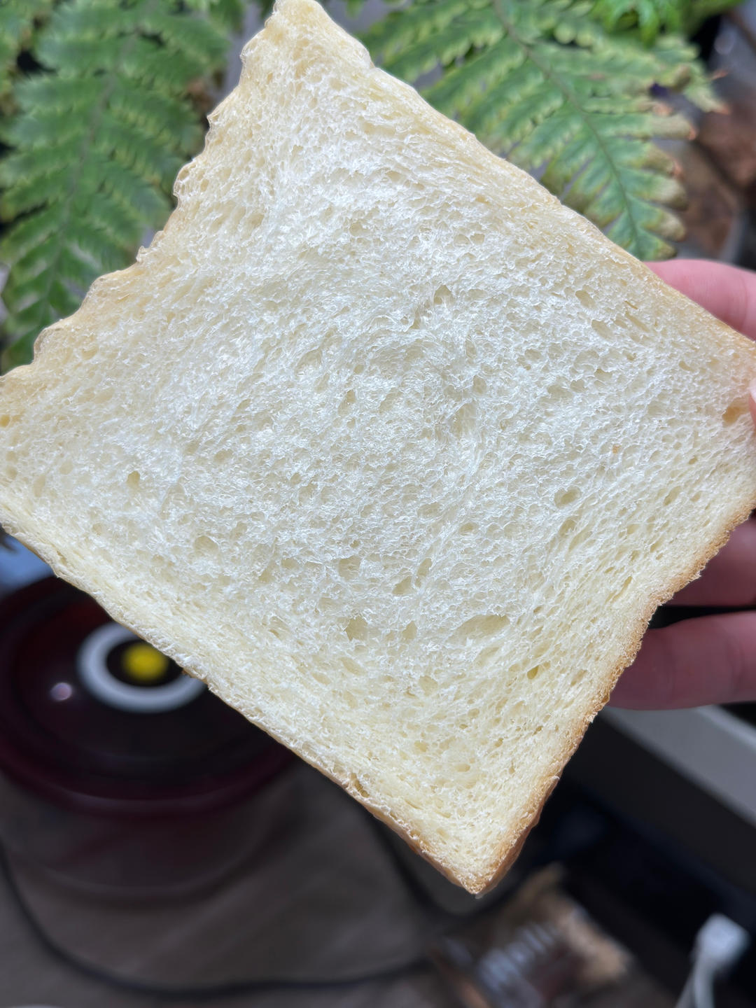 三明治白吐司｜细腻柔软百搭