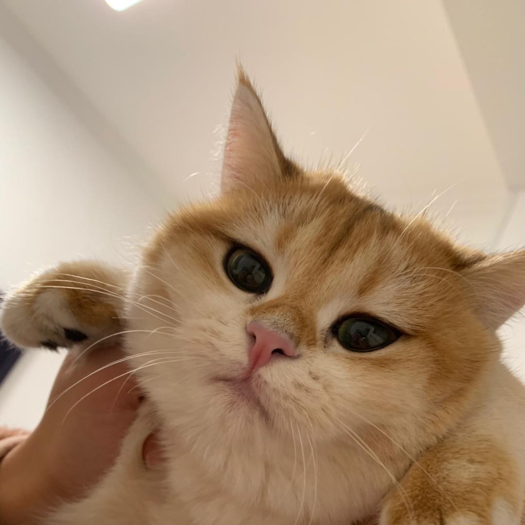 一个大罐子