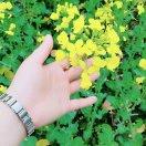 最好的时光-14