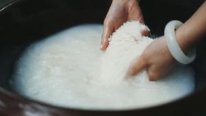 天然碱水粽——稻草灰粽的做法 步骤6