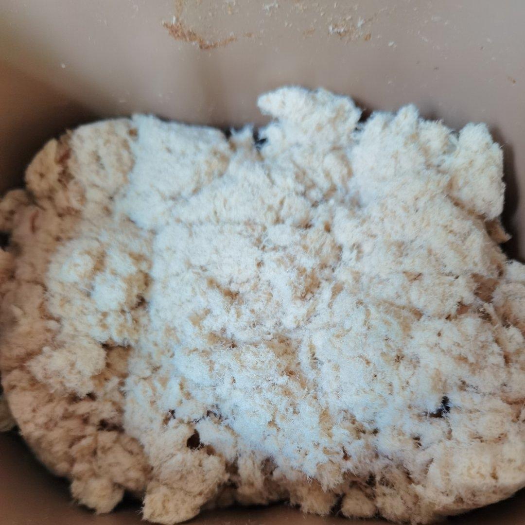 自制鸡胸肉松（面包机）