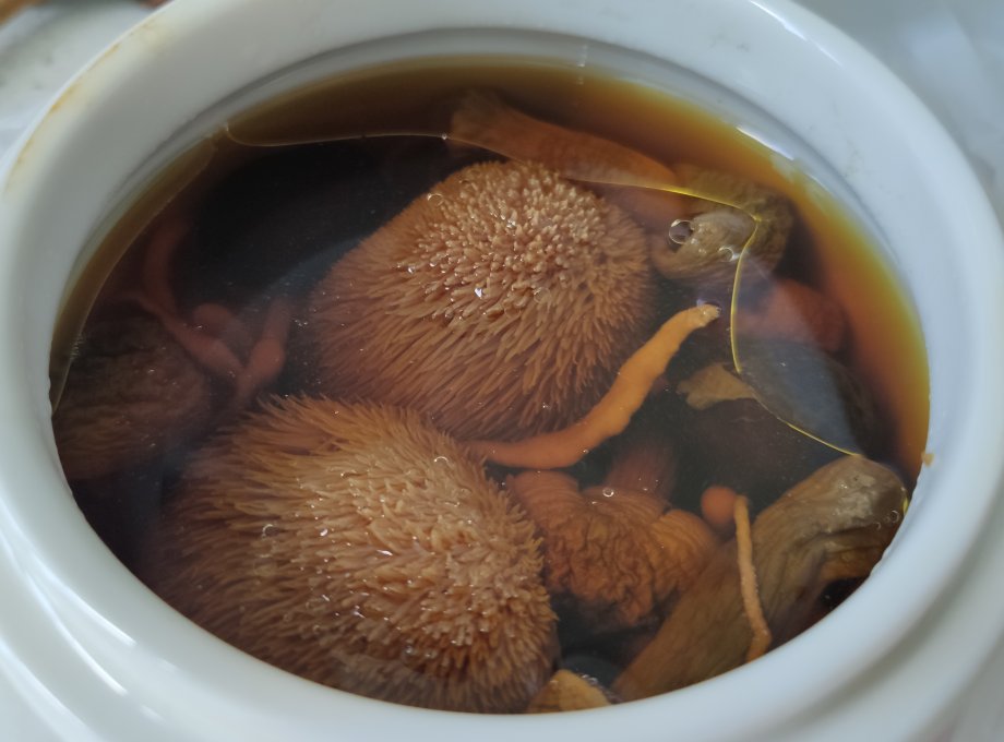 猴头菇炖鸡汤