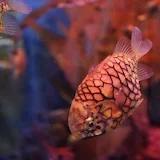 扶摇直上拾万里