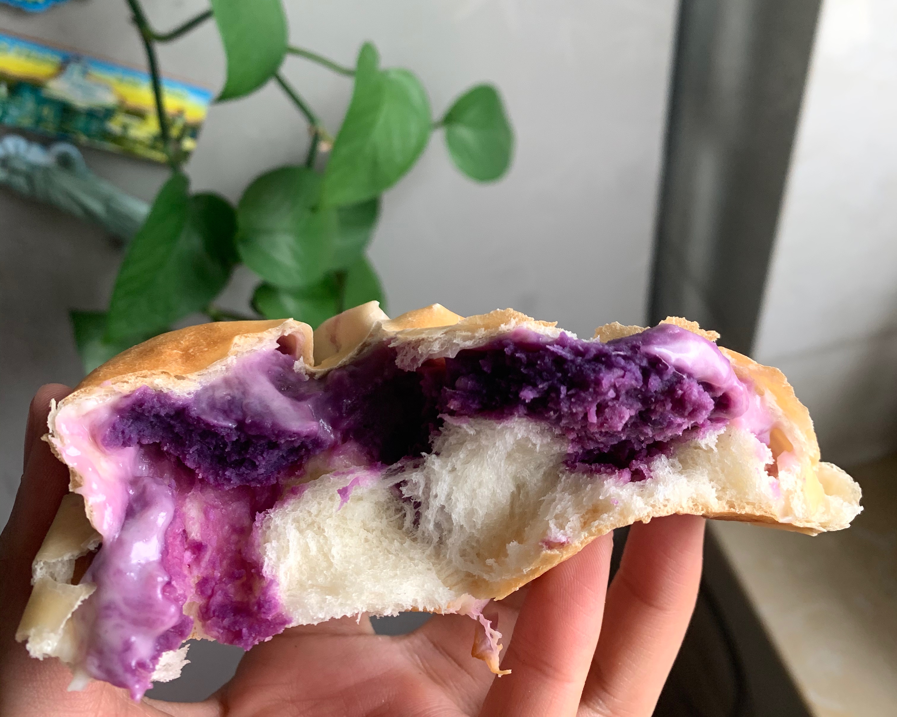 奶酪紫薯芋头无糖无油面包餐包的做法