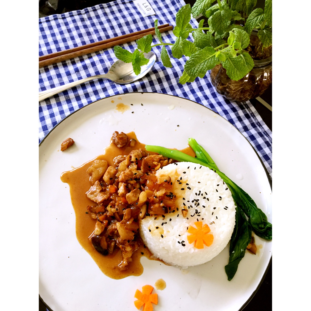 【小食刻 13】卤肉饭