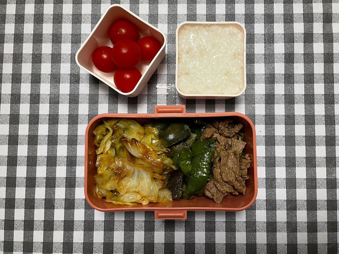 打工人快乐便当（佛系更新）