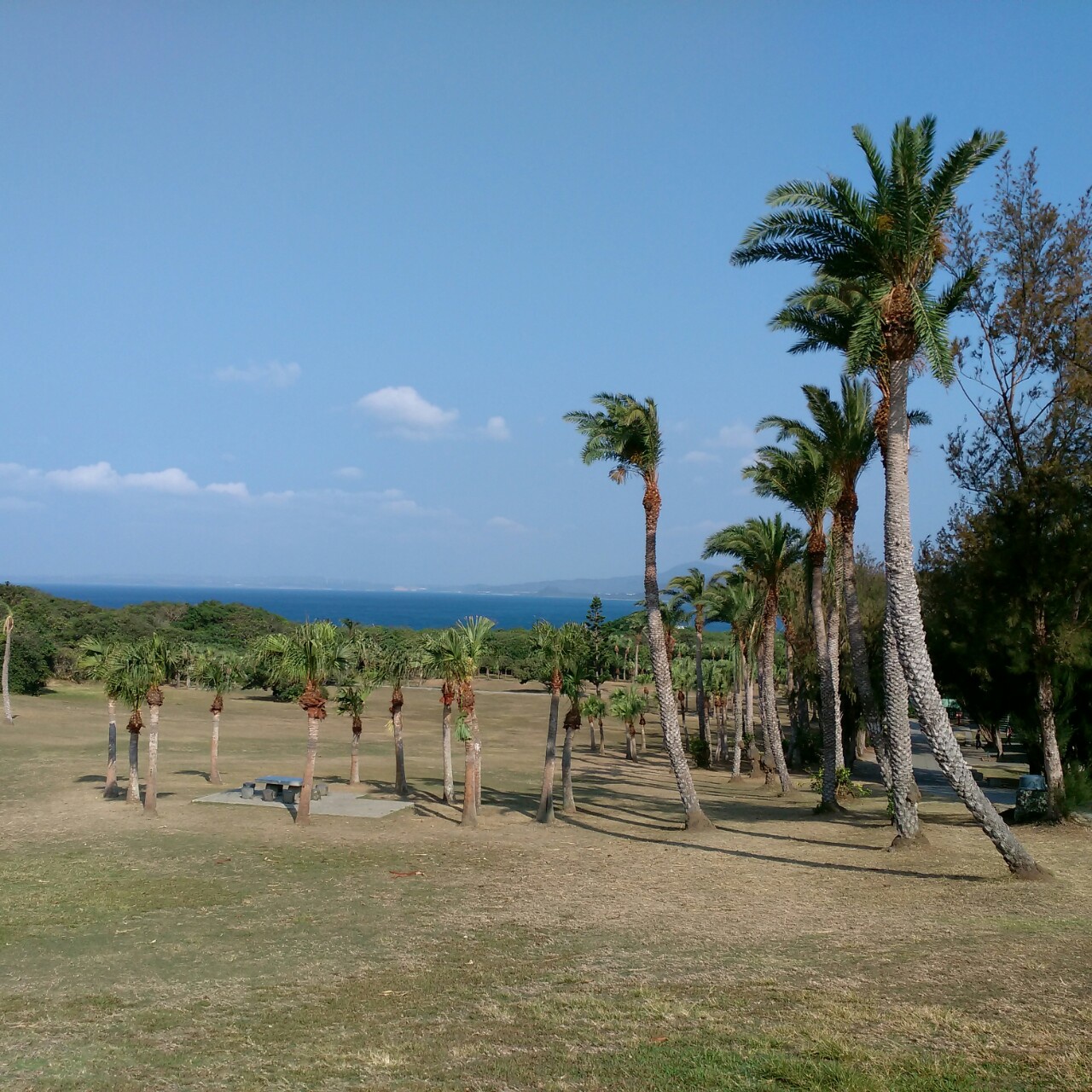 手机用户1347_b09a