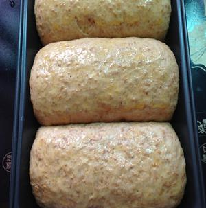 汤种全麦面包～柔软拉丝的做法 步骤15