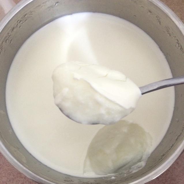 自制酸奶，类似老酸奶的做法