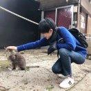 悉尼的小游游