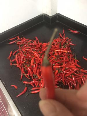 自制辣椒酱的做法 步骤2