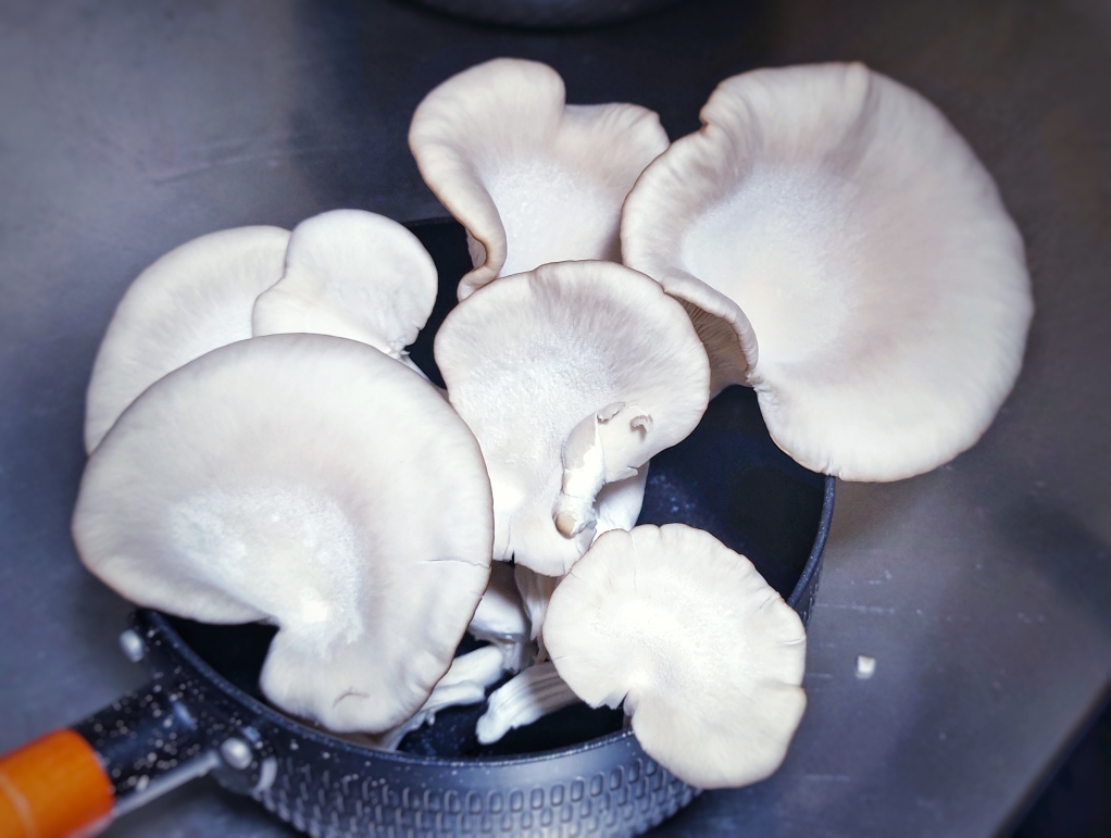自己种的蘑菇随便做个汤的做法