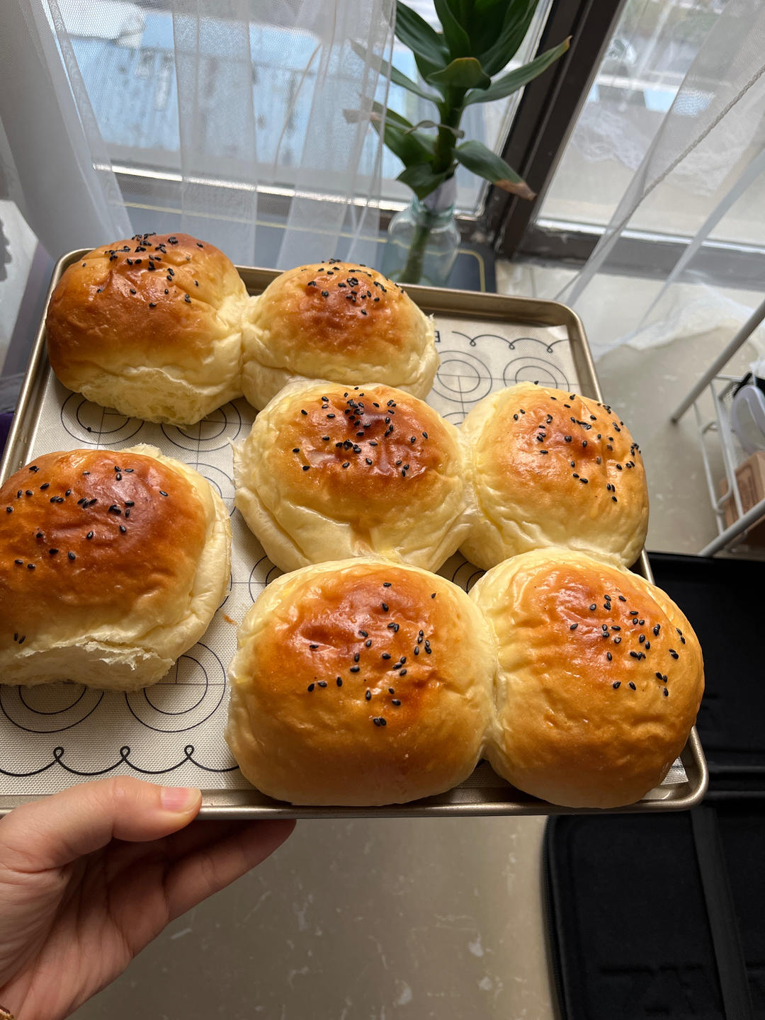 最正宗的美式汉堡胚配方，媲美汉堡王（汤种法）