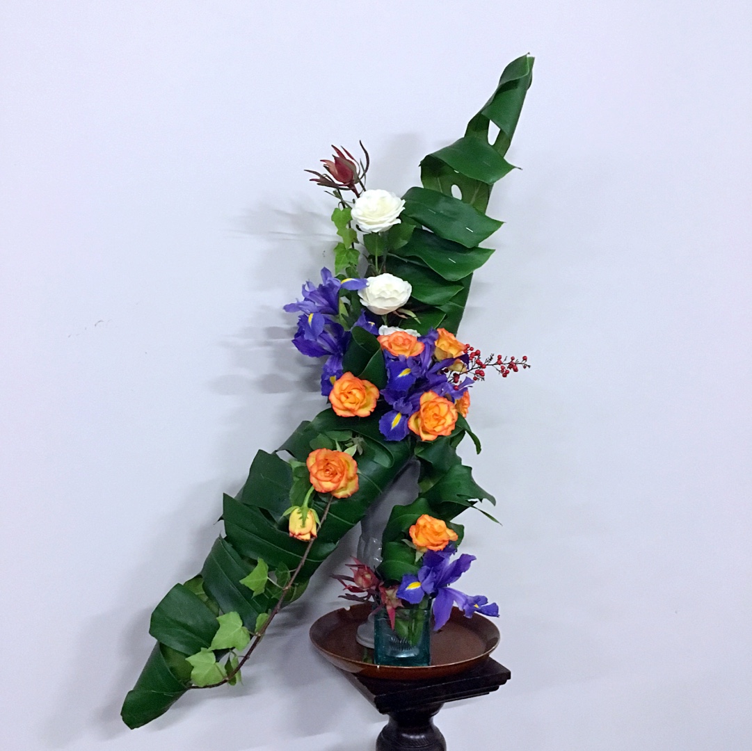 我家的花花草草