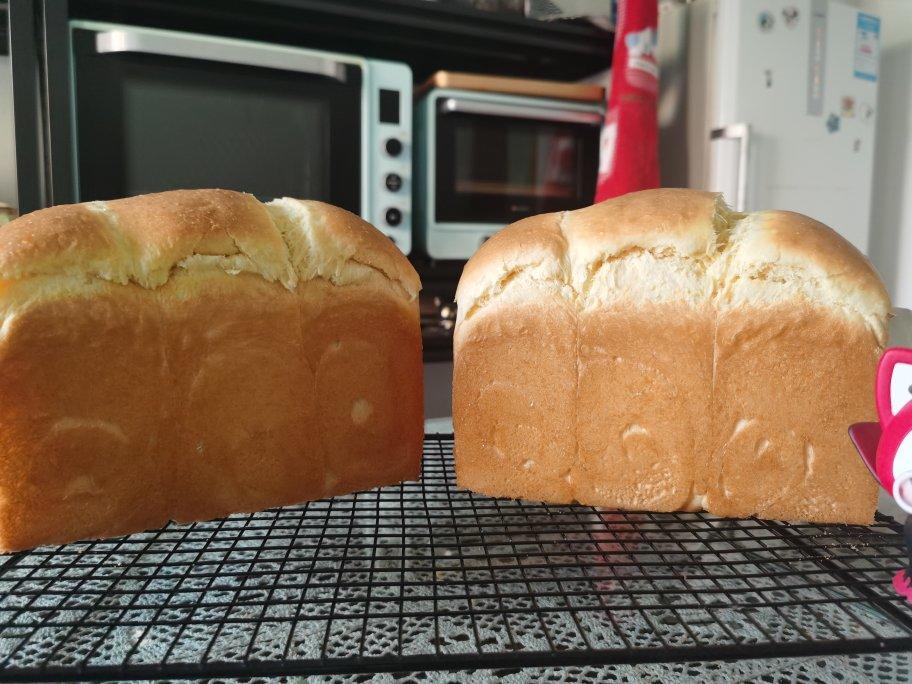 🥚优质鸡蛋🥚吐司