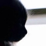 吴小毛0406