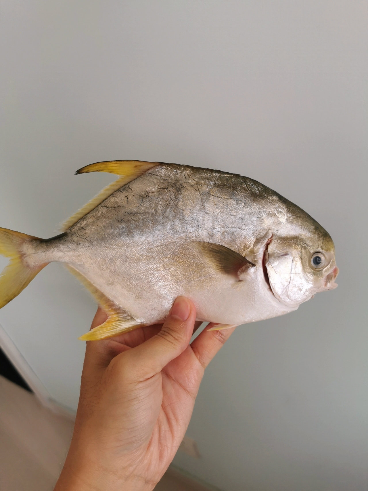 红烧金鲳鱼
