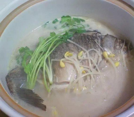 豆芽鲤鱼汤的做法