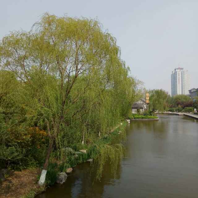 爱如初
