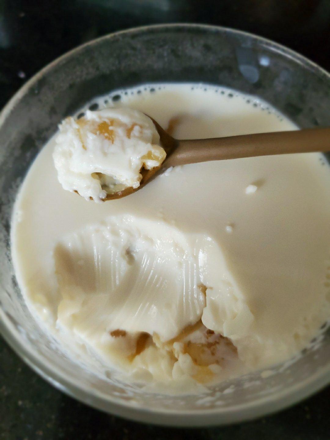 让你吃出牛奶肌的花胶炖鲜奶（花胶奶冻）