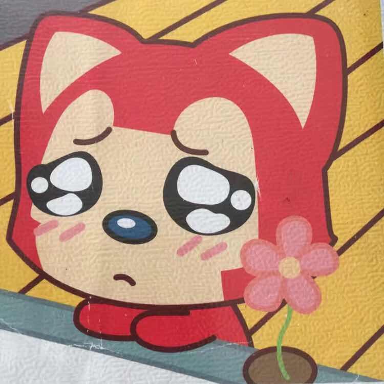 感恩有你123