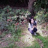 Alicerourou