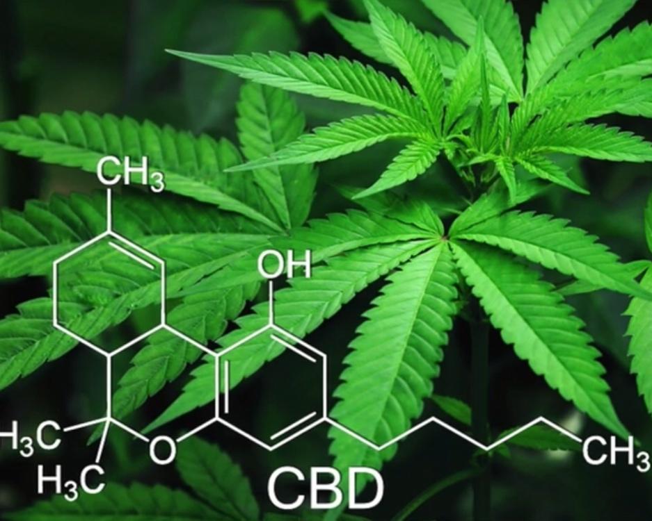 步骤图 Hemp Seed Milk 麻子奶 的做法 Hemp Seed Milk 麻子奶 的做法步骤 菜谱 下厨房