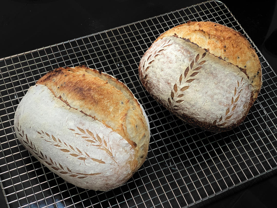 视频教程 天然酵种欧包 基础配方＆制作流程