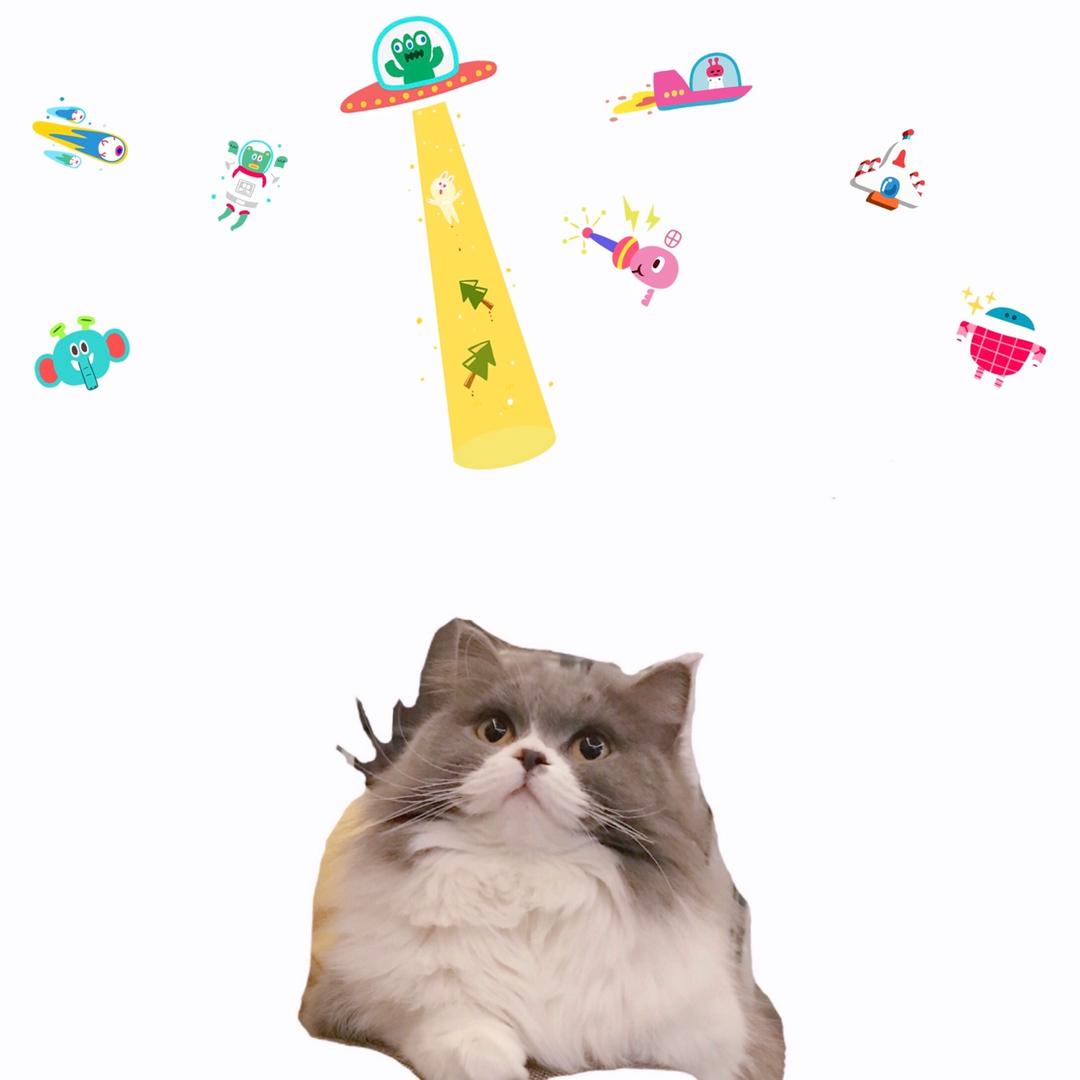 Feiinew
