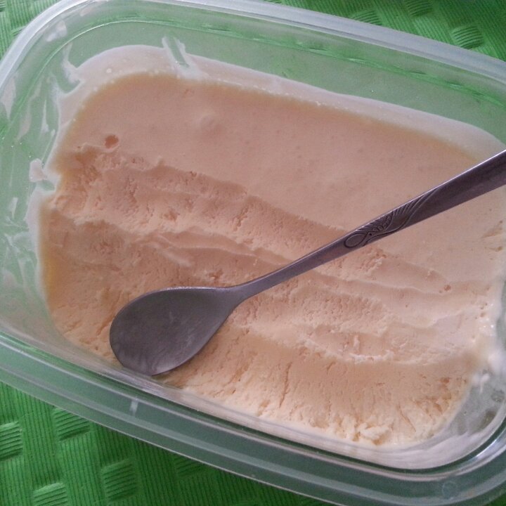 朗姆黑加仑冰淇淋 Rum Raisin Ice cream