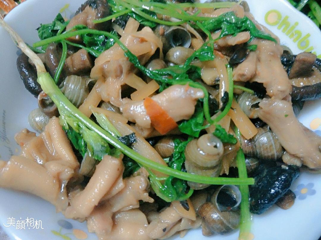 田螺鸭脚煲