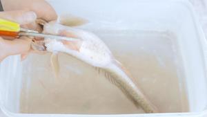 【梅林小厨】清蒸猪尾巴鱼·最简单最原味的方法的做法 步骤1