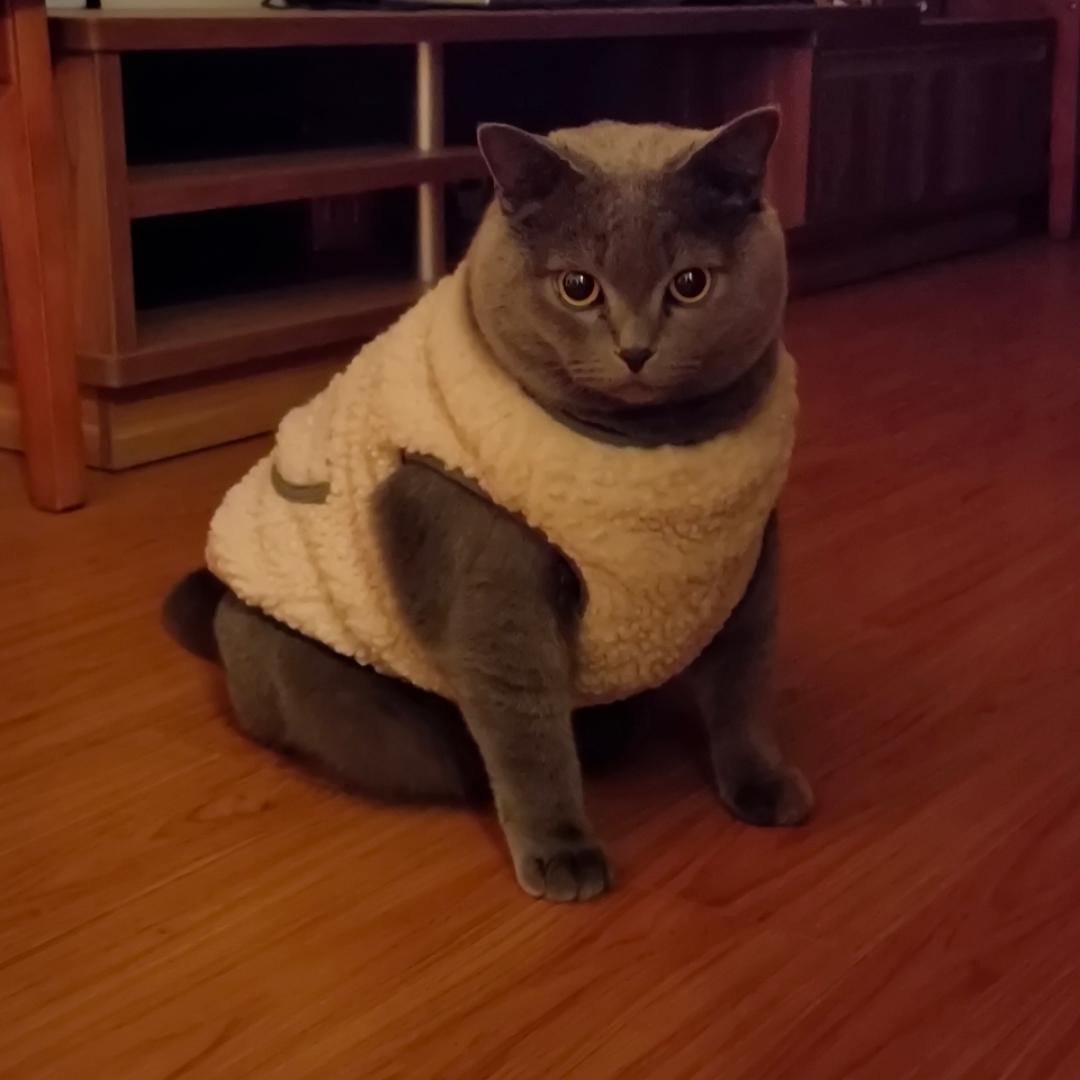 蓝胖子的妈妈
