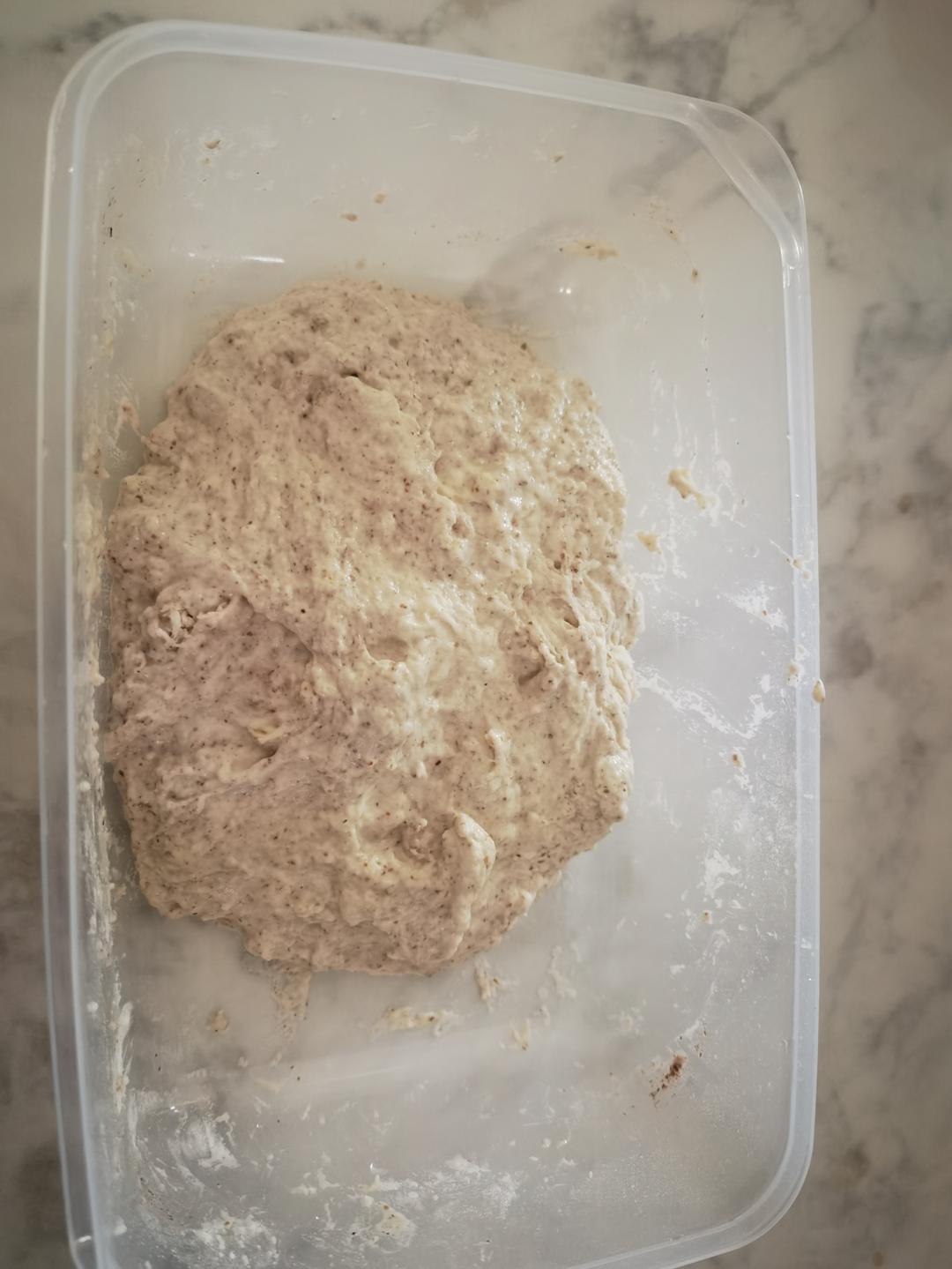 家庭版免揉～恰巴塔🥖｜一次成功超好吃