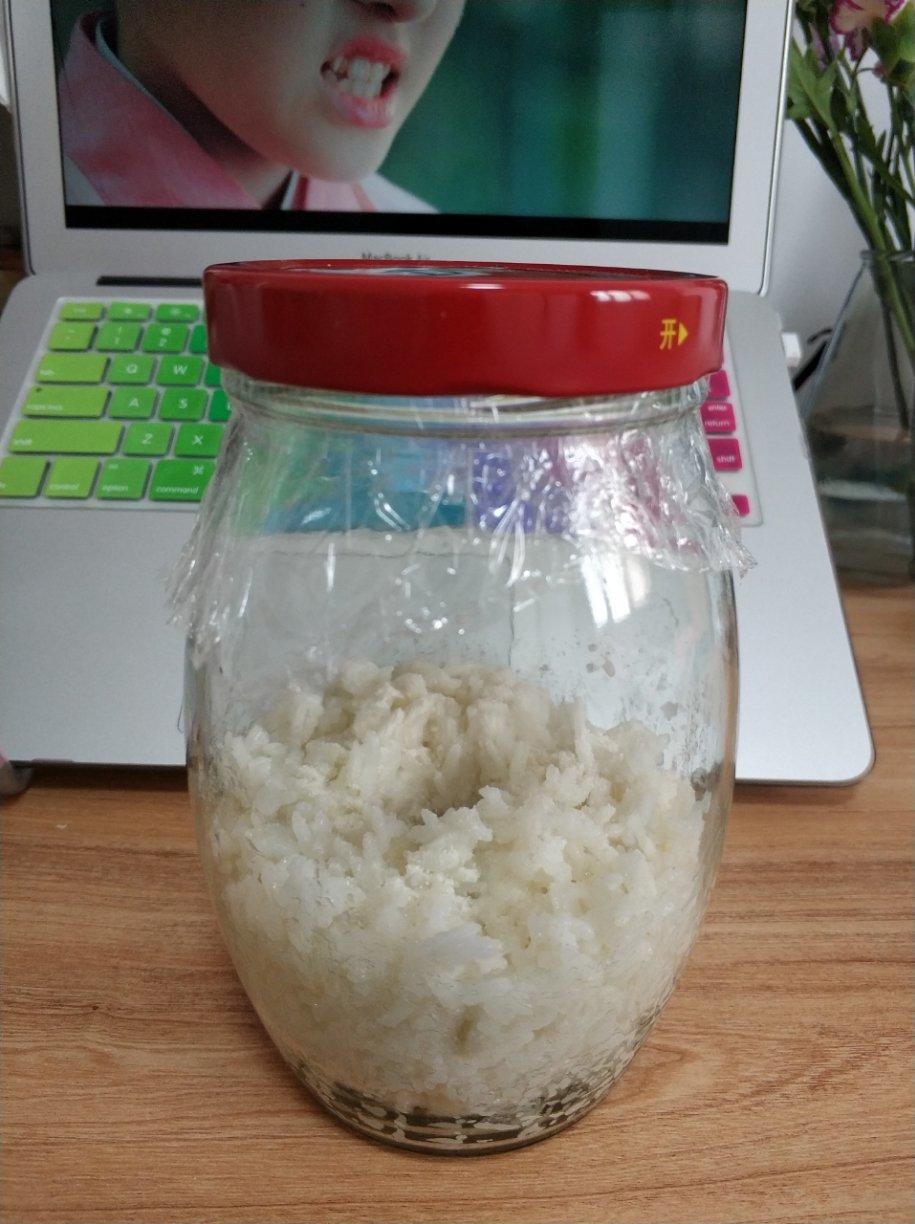 剩饭米酒【剩米饭醪糟】酒酿几个注意的地方