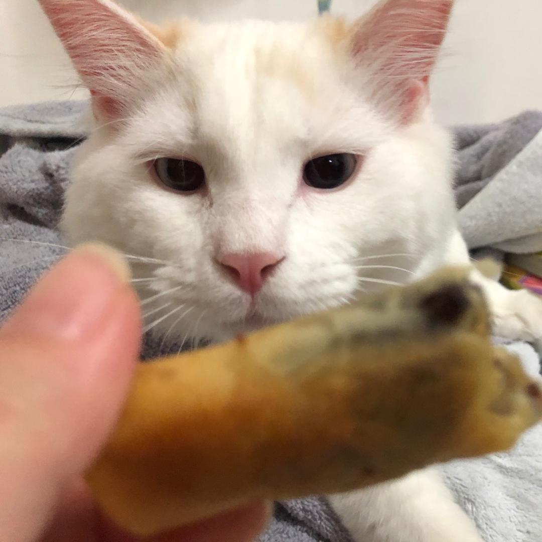 爱吃青菜的咸鱼泡面