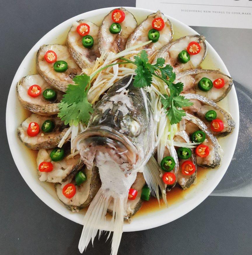 孔雀开屏鱼