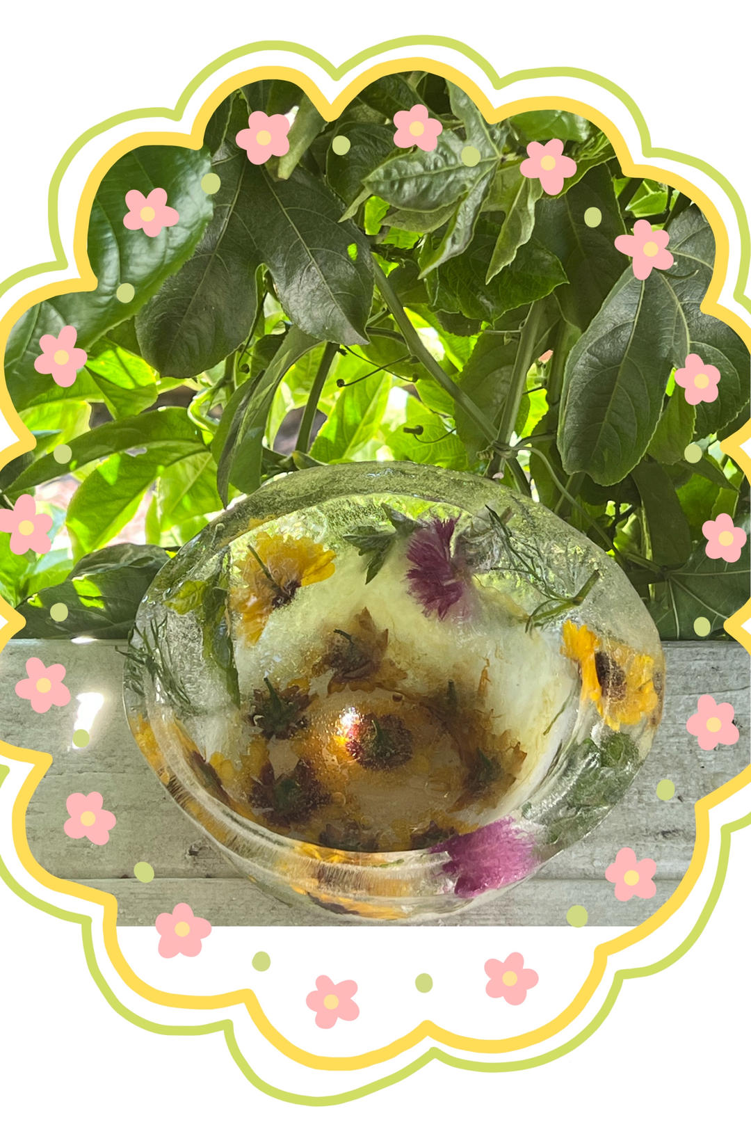 鲜花冰碗 Ice Bowl