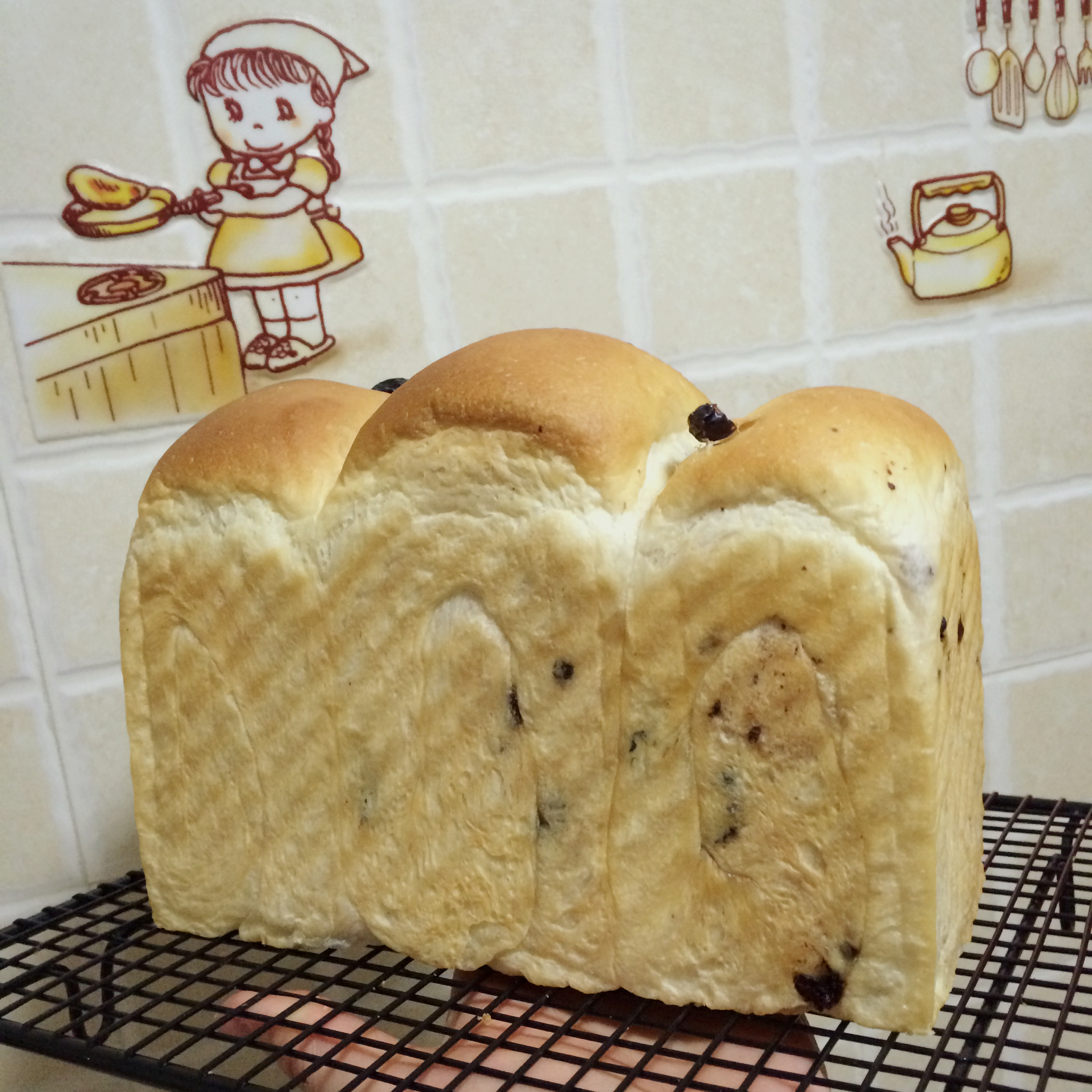 酸奶蔓越梅吐司～冷藏发酵